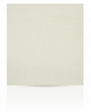 Палантин Женский C-CAS_26S.1/BLANCH